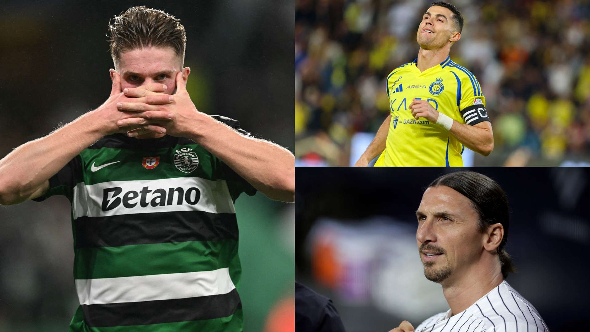 向他看齐 向他看齐